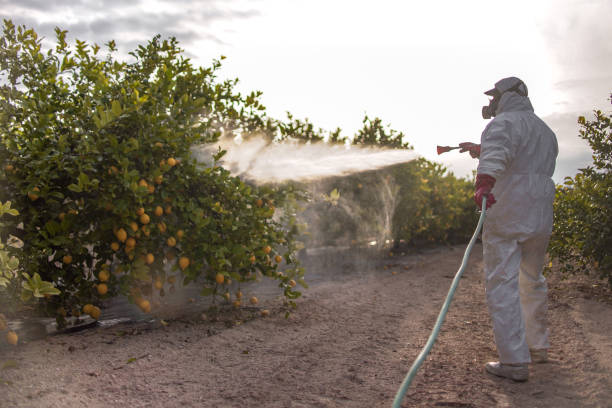 Best Local Pest Control Services  in Anchor Point, AK